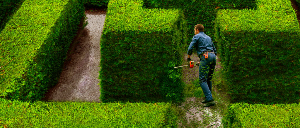 Man landcaping corn maze